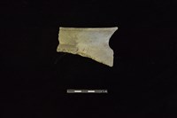 藏品(陶罐)的圖片